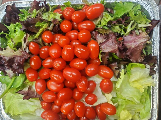 House Salad catering tray from Son of Egg